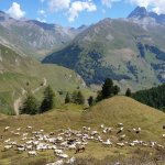 Veduta dei pascoli dalle grange - Foto R.Amelotti